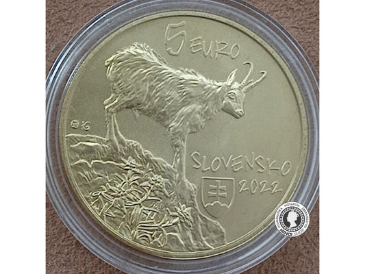 Minca 5€ (2022) Kamzík