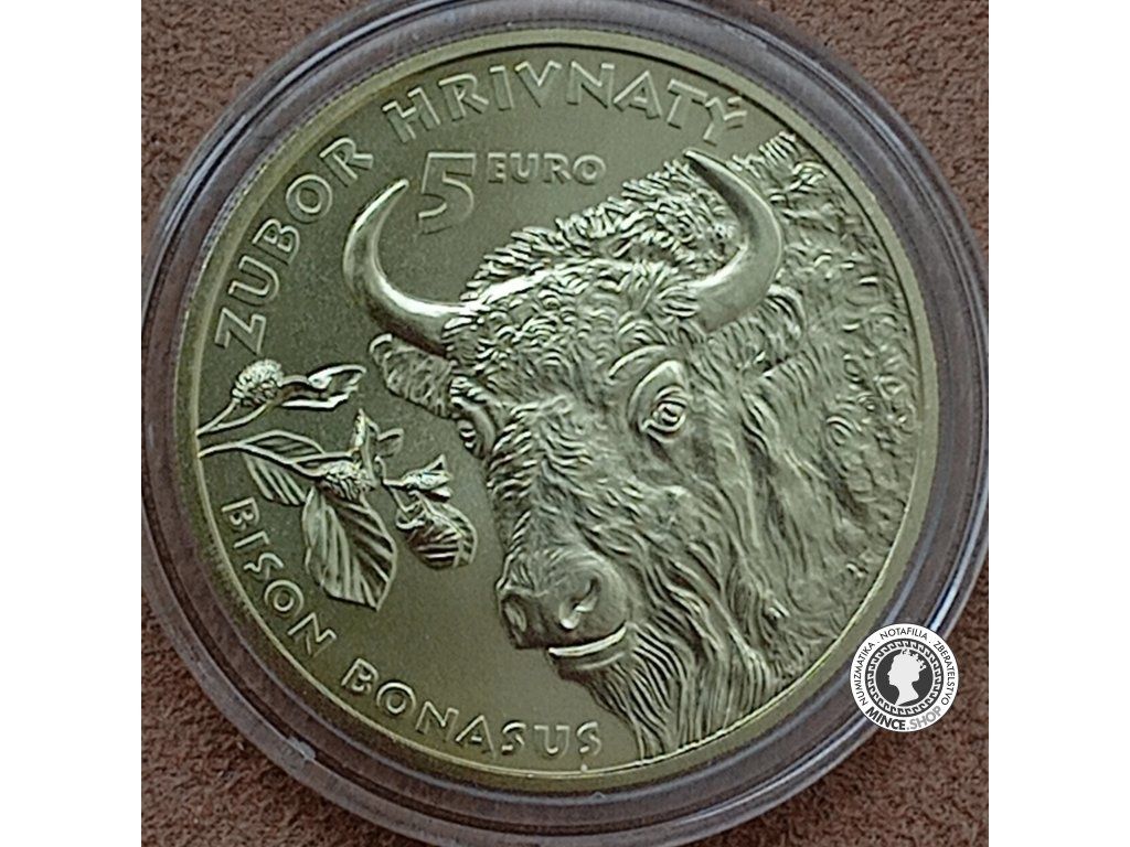 Zberateľská minca 5 eur / 2024  Fauna a flóra na Slovensku – zubor hrivnatý